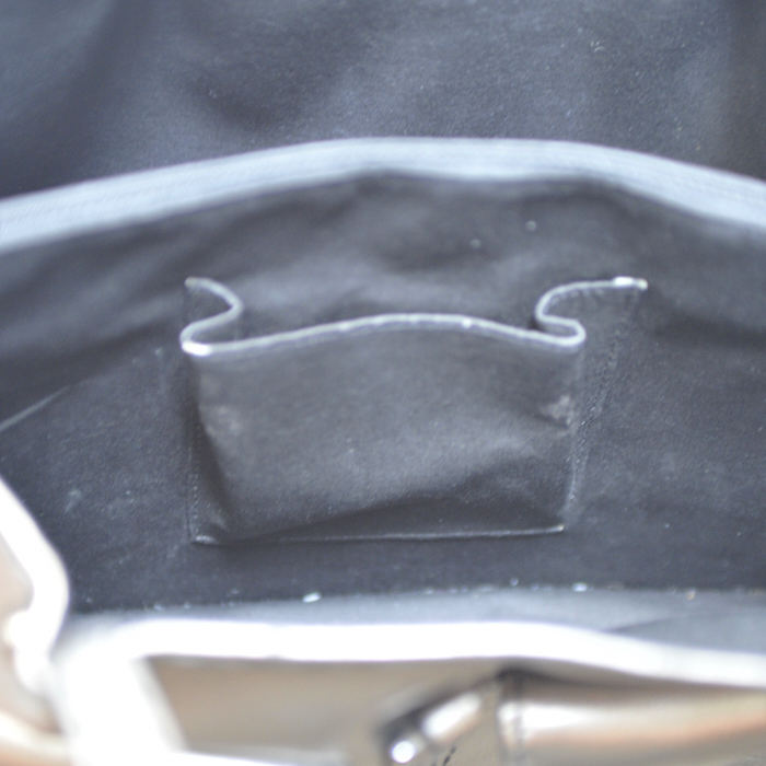 Renaud Pellegrino Metallics Bag in Silvered Leather - Detail D3