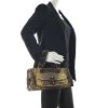 Bottega Veneta Bag in Brown Beige Python - Detail D1 thumbnail