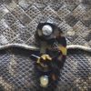Bottega Veneta Bag in Brown Beige Python - Detail D4 thumbnail