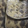 Bottega Veneta Bag in Brown Beige Python - Detail D5 thumbnail