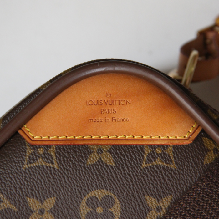 Louis Vuitton Satellite in monogram canvas and natural leather - Detail D5
