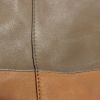 Sac cabas Céline Vertical en cuir bicolore taupe et marron - Detail D5 thumbnail