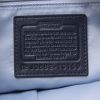 Coach in blue leather - Detail D3 thumbnail
