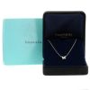 Tiffany & Co Victoria pendant in platinium and diamonds - Detail D1 thumbnail