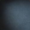 Bolso de mano Bellevue en charol Monogram azul - Detail D2 thumbnail