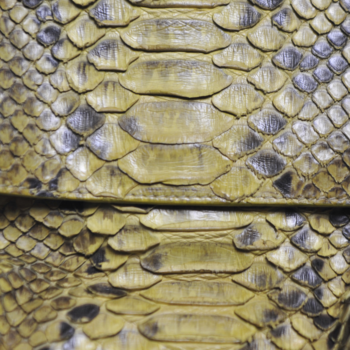 Bolso de mano en piel de pitón verde anís - Detail D4