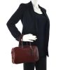 Plume Elan small model handbag in burgundy box leather - Detail D1 thumbnail