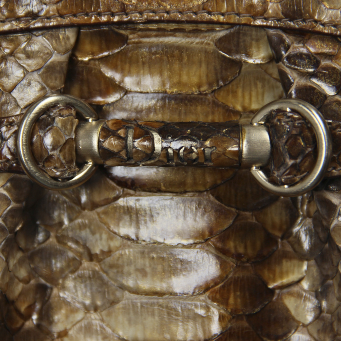 Dior bag in beige and brown python - Detail D4