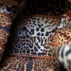 Yves Saint-Laurent Roady en cuero marron - Detail D2 thumbnail