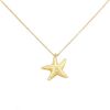 Tiffany and Co collier Star en or jaune  - 00pp thumbnail