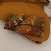 Christian Dior Saddle in brown python - Detail D4 thumbnail