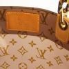 Sac à main Louis Vuitton Ambre en vinyle marron - Detail D3 thumbnail