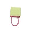 Dior Vintage handbag in green and pink bicolor canvas - 360 Back thumbnail