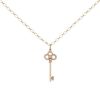 Tiffany & Co long necklace in pink gold,  yellow gold and diamonds - 00pp thumbnail
