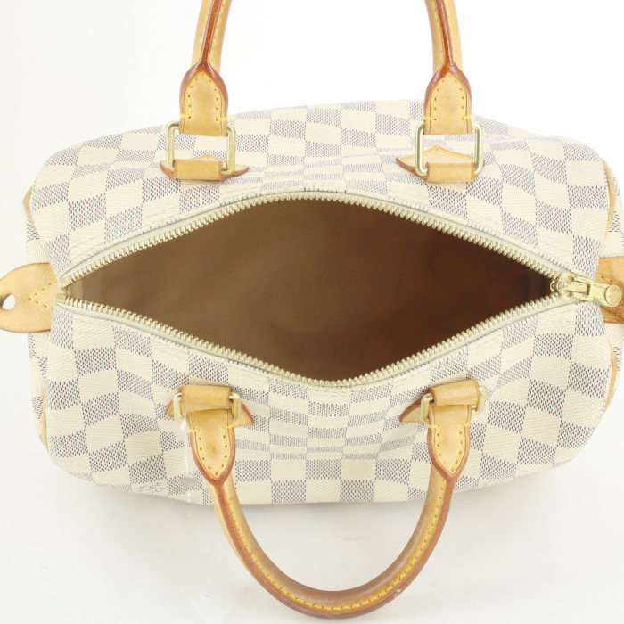 Bolso de mano Louis Vuitton Speedy 25 cm en lona a cuadros revestida blanca y azul celeste y cuero natural - Detail D2