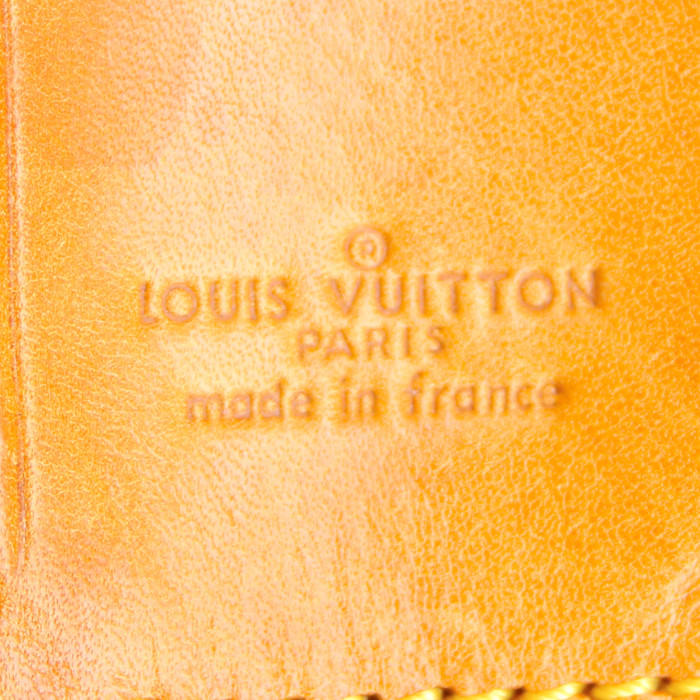 Borsa da viaggio Sirius in tela monogram cerata e pelle naturale - Detail D4