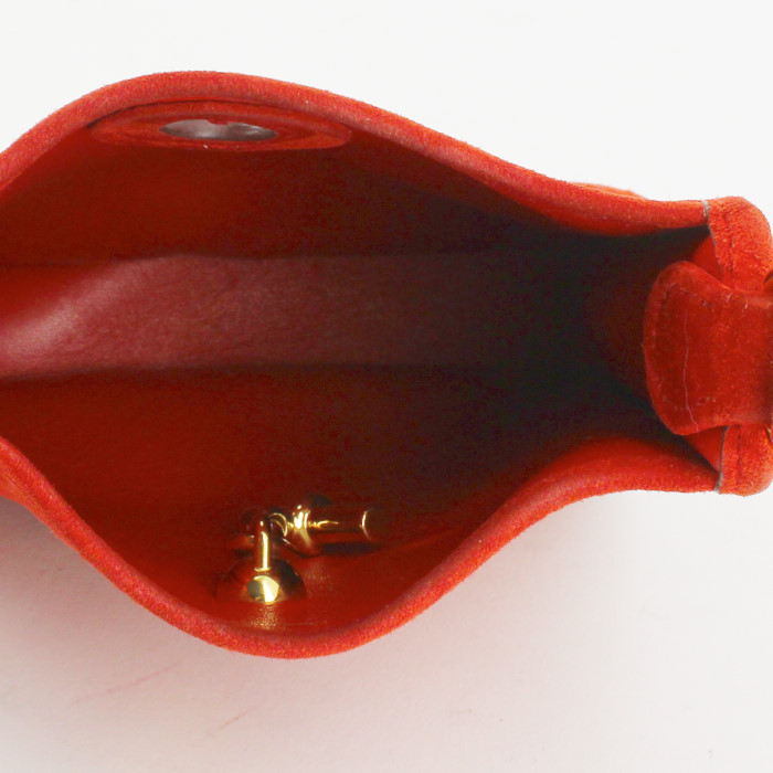 Camoscio rosso - Detail D2