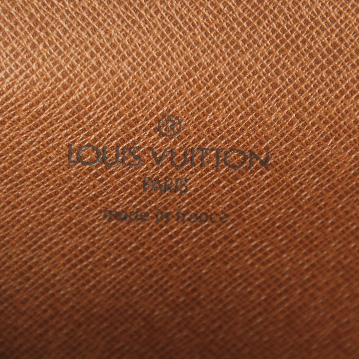 Borsa a tracolla Louis Vuitton Danube in tela monogram e pelle naturale - Detail D3
