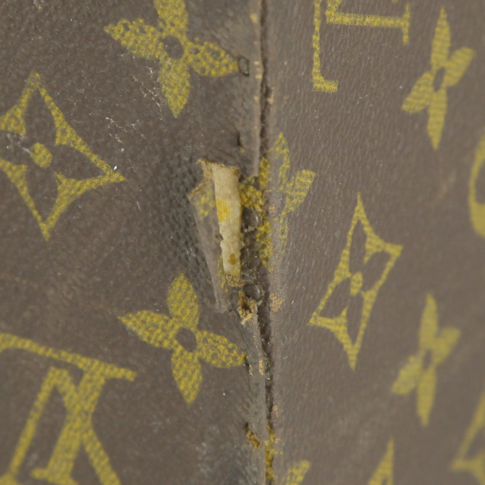 Louis Vuitton Vanity vanity case in monogram canvas and natural leather - Detail D4