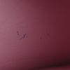 Borsa Chanel Timeless in tela jersey rosa - Detail D4 thumbnail