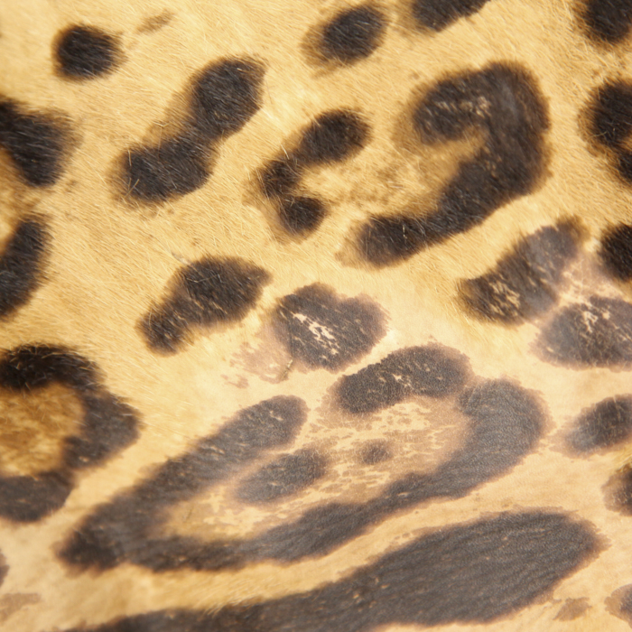 Bolso de mano Dolce
Gabbana Dolce
Gabbana autres sacs et maroquinerie en piel de potro y cuero negro - Detail D5