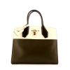 Louis Vuitton City Steamer medium model handbag in beige and khaki leather - 360 thumbnail