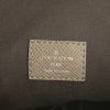 Louis Vuitton Sacha shoulder bag in taupe taiga leather - Detail D3 thumbnail