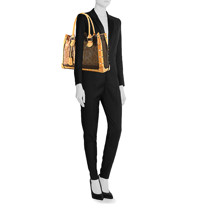 Louis Vuitton Louis Vuitton Ambre handbag in plastic and natural leather - Detail D1