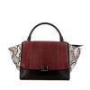 Celine Trapeze handbag in brown, beige and burgundy python and black leather - 360 thumbnail