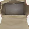 Celine Trapeze handbag in taupe and pink bicolor leather - Detail D3 thumbnail
