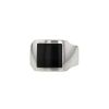 Cartier Santos-Dumont ring in white gold and hawk eye - 00pp thumbnail