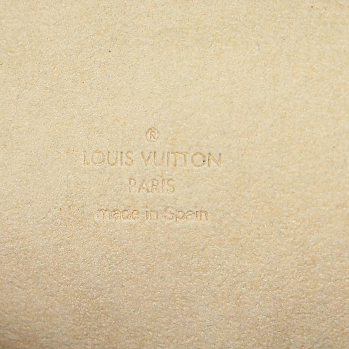 Borsa/pochette Louis Vuitton Twin modello piccolo in tela monogram cerata e pelle naturale - Detail D3