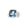 Half-articulated Poiray Indrani medium model ring in white gold and topaz - 00pp thumbnail