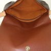 Borsa a tracolla Louis Vuitton Musette Tango in tela monogram marrone e pelle naturale - Detail D2 thumbnail