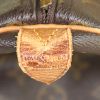 Borsa da viaggio Louis Vuitton Keepall 45 in tela monogram cerata e pelle naturale - Detail D4 thumbnail