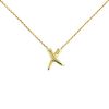 Collier Tiffany & Co Paloma Picasso en or jaune - 00pp thumbnail
