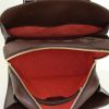 Louis Vuitton Triana Bag handbag in damier canvas and brown leather - Detail D3 thumbnail