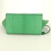 Bolso de mano Celine Trapeze modelo mediano en piel de pitón verde y cuero verde - Detail D5 thumbnail