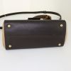 Fendi Silvana bag worn on the shoulder or carried in the hand in dark brown and beige leather - Detail D5 thumbnail