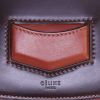 Celine Trotteur shoulder bag in brown and rust-coloured bicolor box leather - Detail D3 thumbnail