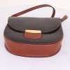Celine Trotteur shoulder bag in brown and rust-coloured bicolor box leather - Detail D4 thumbnail