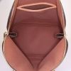 Louis Vuitton Alma handbag in brown monogram canvas and natural leather - Detail D2 thumbnail