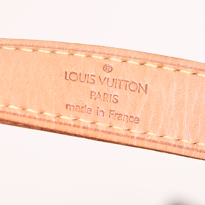 Louis Vuitton Louis Vuitton Editions Limitées pouch in monogram canvas and natural leather - Detail D3