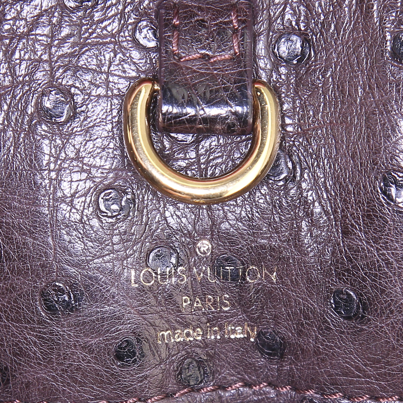Shopping bag Louis Vuitton Etoile Shopper modello grande in tela monogram marrone e pelle bordeaux - Detail D4
