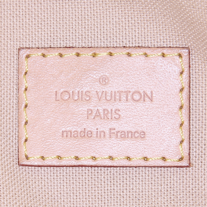 Louis Vuitton large model handbag in azur damier canvas and natural leather - Detail D4