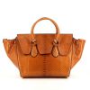 Celine Tie Bag handbag in brown python - 360 thumbnail