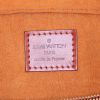 Bolso de mano Louis Vuitton Pont Neuf en cuero Epi marrón - Detail D3 thumbnail