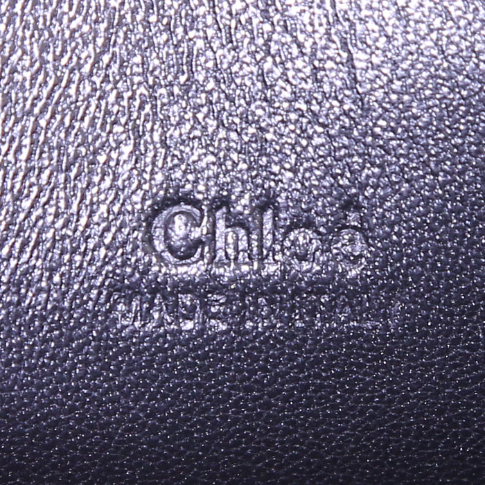 Sac bandoulière Chloé Faye en python orange bleu et marron et cuir noir - Detail D3