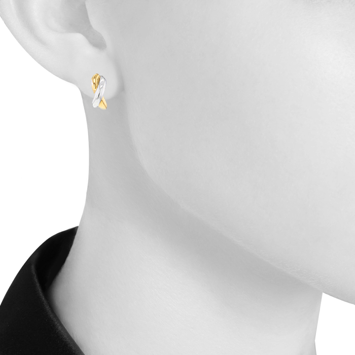 Paire de boucles d'oreilles Poiray Tresse en or jaune et or blanc