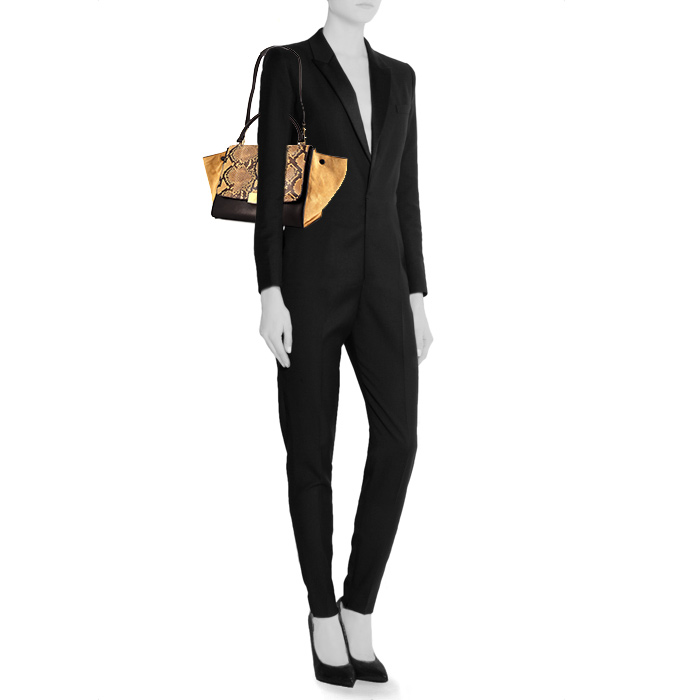 Celine  Trapeze medium model  handbag  in beige python  and beige suede - Detail D2
